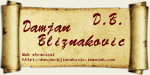 Damjan Bliznaković vizit kartica